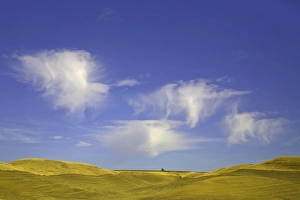 Images Dated 27th October 2008: Harvested wheat fields, Palouse Hills, WA