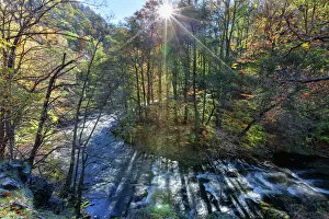 Images Dated 20th December 2015: Harz Landscape in Autumn