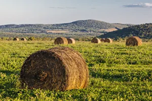 Hay bales in field, International Appalachian Trail, Merrill, Aroostook County, Maine, USA Hay bales in field, International Appalachian Trail, Merrill, Aroostook County, Maine, USA