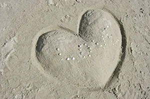 Heart made of sand with the word LOVE made of shells, St Peter-Ording, Schleswig-Holstein Heart made of sand with the word LOVE made of shells, St Peter-Ording, Schleswig-Holstein