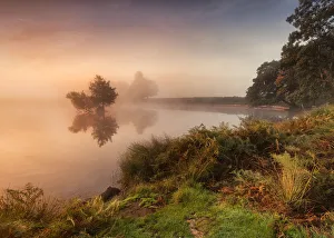 Heart Shattering Beauty of Richmond Park Heart Shattering Beauty of Richmond Park