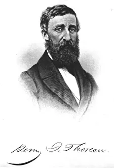 <b class=qtipBold><figcaption>Henry Thoreau</figcaption></b><br>circa 1857: American writer, naturalist and recluse Henry David Thoreau (1817-1862). (Photo by Hulton Archive/Getty Images) Henry Thoreau