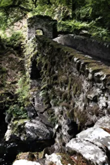 The Hermitage Bridge Perthshire Scotland with moss in artistic conversion - Scotland The Hermitage Bridge Perthshire Scotland with moss in artistic conversion - Scotland