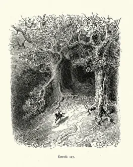 Hero knight leaving the dark wood, Fantasy Hero knight leaving the dark wood, Fantasy