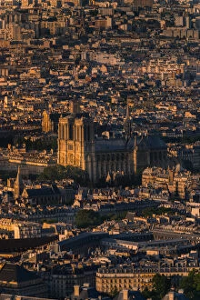 Notre Dame Cathedral, Paris Gallery: High angle view of Notre dame