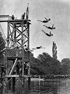Highgate Gallery: High Diving
