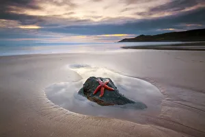 <b class=qtipBold><figcaption>High and dry</figcaption></b><br>A starfish is left stranded by a receding tide.<br><em>© ©antonyspencer2009</em> High and dry