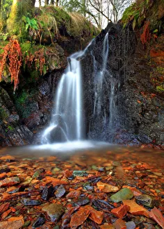 Highland waterfall forest Birnam Hill, Scotland Highland waterfall forest Birnam Hill, Scotland