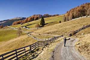 Hiker during the descent from the Gedrumalm alpine pastures in the Gedrum Valley above Hiker during the descent from the Gedrumalm alpine pastures in the Gedrum Valley above