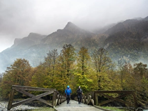 Hikers with raincoats and walking sticks on a bridge of wood that crosses a river in a Hikers with raincoats and walking sticks on a bridge of wood that crosses a river in a