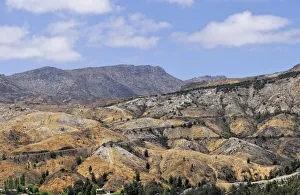 Hills eroded after deforestation and air pollution for copper mining near Queenstown Hills eroded after deforestation and air pollution for copper mining near Queenstown