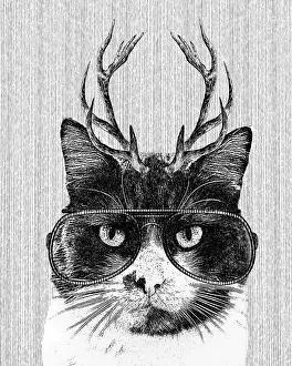 Hipster Cat Illustration With Antlers And Glasses Hipster Cat Illustration With Antlers And Glasses