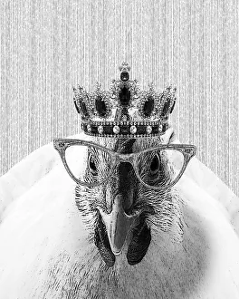 Hipster Chicken Illustration With Crown And Glasses Hipster Chicken Illustration With Crown And Glasses