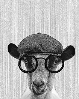 Hipster Goat Illustration With Hat And Glasses Hipster Goat Illustration With Hat And Glasses