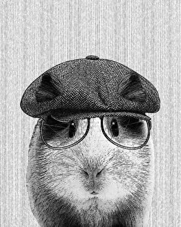 Hipster Guinea Pig Illustration With Hat And Glasses Hipster Guinea Pig Illustration With Hat And Glasses