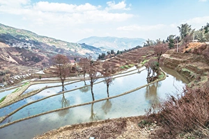 Images Dated 9th February 2016: Honghe Landscape