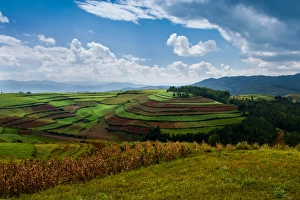 Hongtudi, Dongchuan red soil of Yunnan, China Hongtudi, Dongchuan red soil of Yunnan, China