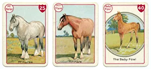 Three horse cards Victorian animal families game Three horse cards Victorian animal families game