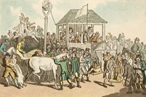 Horseracing Humour