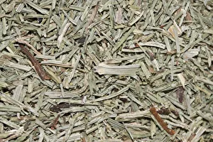 Horsetail tea, organic tea