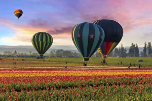 <b class=qtipBold><figcaption>Hot Air Balloons at Sunrise</figcaption></b><br>Hot Air Balloons taking off at Wooden Shoe Tulip Festival in Woodburn Oregon at sunrise<br><em>© David Gn</em> Hot Air Balloons at Sunrise