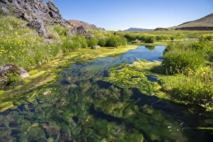 Hot creed with algae and minerals, Landmannalaugar, Fjallabak Nature Reserve, Highlands Hot creed with algae and minerals, Landmannalaugar, Fjallabak Nature Reserve, Highlands