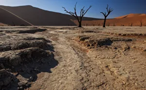 Hot desert sun rises over the iconic dead tree landscape of Deadvlei in the Namib-Naukluft National Park, Namibia Hot desert sun rises over the iconic dead tree landscape of Deadvlei in the Namib-Naukluft National Park, Namibia