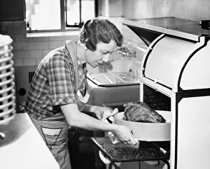 Housewife removing turkey from oven, (B&W) Housewife removing turkey from oven, (B&W)