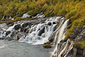 Hraunfossar, waterfalls of the Hvita river in autumn, near Husafell and Reykholt, Iceland Hraunfossar, waterfalls of the Hvita river in autumn, near Husafell and Reykholt, Iceland