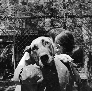 <b class=qtipBold><figcaption>Hug A Dog</figcaption></b><br>One of the canine actors at Miss d'Essen's New York animal acting school practises an affectionate hug with a human friend. Hug A Dog