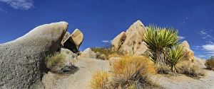 Huge granite rocks of Split Rocks and green Mojave Yucca or Spanish Dagger -Yucca Huge granite rocks of Split Rocks and green Mojave Yucca or Spanish Dagger -Yucca