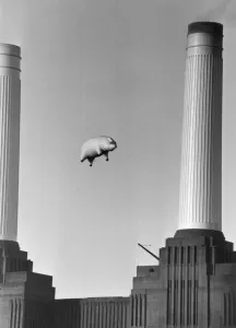 Prints of A 40-foot long inflatable pig suspended between two of the chimneys at Battersea Power Station, London, during a photoshoot for the cover of Pink Floyds album Animals, 6th November 1976 London Prints: A 40-foot inflatable pig suspended between Battersea Power Station's chimneys
