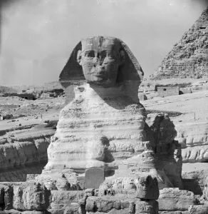 Statue of the Sphinx at Giza Print circa 1950
