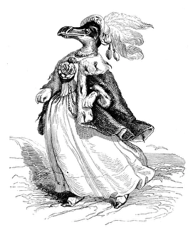 Humanized animals illustrations: Female penguin Humanized animals illustrations: Female penguin
