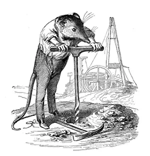 <b class=qtipBold><figcaption>Humanized Animals Illustrations</figcaption></b><br>Black and white illustrations of animals acting just like humans do<br><em>© This content is subject to copyright.</em> Humanized Animals Illustrations