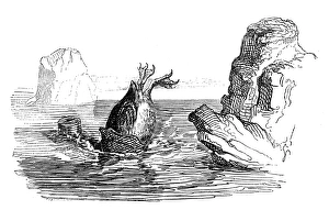 Humanized animals illustrations: Penguin diving Humanized animals illustrations: Penguin diving