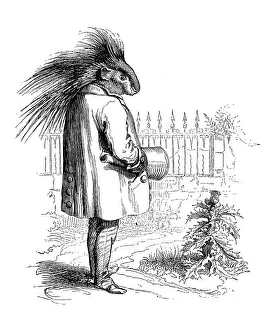 Humanized animals illustrations: Porcupine Humanized animals illustrations: Porcupine