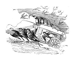 Humanized animals illustrations: Swallow carriage Humanized animals illustrations: Swallow carriage