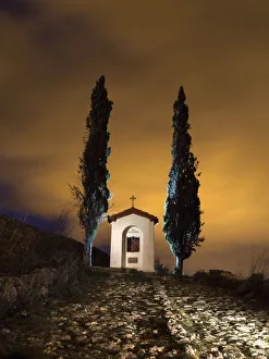 Hut an ordeal with two cypresses a foggy night Hut an ordeal with two cypresses a foggy night