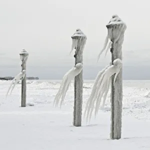 <b class=qtipBold><figcaption>Ice men cometh</figcaption></b><br>Breeze has stink of nickel whiskey on its breath, and their sea.<br><em>© 2012 T. W. Collins</em> Ice men cometh