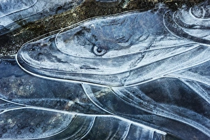 Ice Serpent - River Sligachan Ice Abstraction #7 Ice Serpent - River Sligachan Ice Abstraction #7