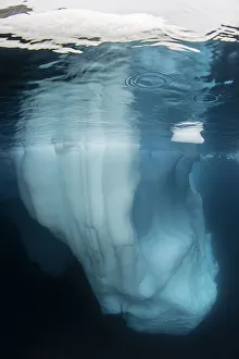 <b class=qtipBold><figcaption>Under an iceberg</figcaption></b><br>Underwater view of an iceberg in the Scoresbysund fjord area. These icebergs are formed from glacial calving and consist of freshwater ice, rock debris and trapped air.<br><em>© Wildestanmal 2015</em> Under an iceberg