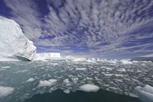 Icebergs, Collins Bay, Antarctic Peninsula Icebergs, Collins Bay, Antarctic Peninsula