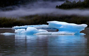 Images Dated 18th August 2010: Icebergs having broken away from the Mendenhall glacier are floating toward the sea, Juneau, Alaska