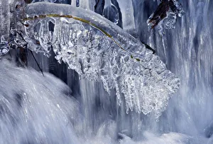 Icicles at a creek, Sauerland, North Rhine-Westphalia, Germany Icicles at a creek, Sauerland, North Rhine-Westphalia, Germany