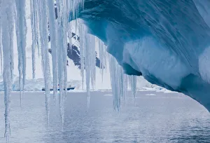 Icicles hanging from an iceberg, Antarctica Icicles hanging from an iceberg, Antarctica