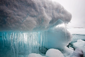 Icicles and Melting Sea Ice, Svalbard Icicles and Melting Sea Ice, Svalbard