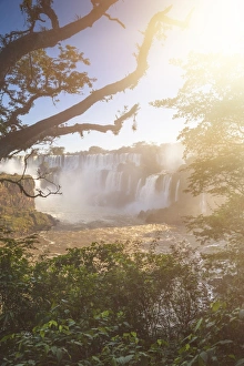Iguazu National Park, Misiones, Argentina Iguazu National Park, Misiones, Argentina