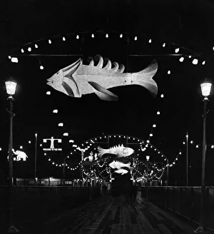 Illuminated Fish