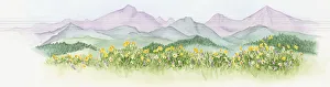 Illustration of abundance of wildflowers growing on lush North American prairie with mountains in background Illustration of abundance of wildflowers growing on lush North American prairie with mountains in background